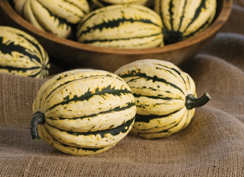 Courge Jester rôtie au beurre noisette et sauge croustillante